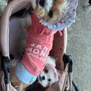 ヒメ日記 2026/03/27 10:49 投稿 わかな エデンR