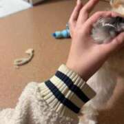 ヒメ日記 2026/03/28 20:49 投稿 わかな エデンR