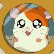 ヒメ日記 2025/11/25 12:59 投稿 めろ チアガール