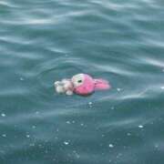 ヒメ日記 2025/12/22 02:35 投稿 めろ チアガール