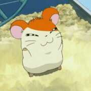 ヒメ日記 2026/02/20 07:09 投稿 めろ チアガール