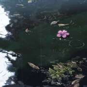 ヒメ日記 2026/06/07 14:31 投稿 めろ チアガール
