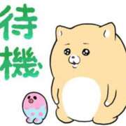 ヒメ日記 2025/12/06 11:20 投稿 青葉こずえ 五十路マダム 浜松店(カサブランカグループ)