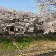 ヒメ日記 2025/04/10 19:16 投稿 星野　友花 五十路マダム金沢店