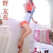 ヒメ日記 2025/11/20 09:48 投稿 星野　友花 五十路マダム金沢店