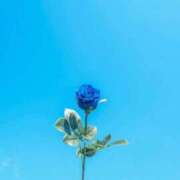 ヒメ日記 2025/08/17 09:41 投稿 かなで Blue Lagoon(ブルーラグーン)