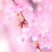 ヒメ日記 2026/03/31 09:21 投稿 かなで Blue Lagoon(ブルーラグーン)