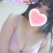 ヒメ日記 2025/02/18 19:04 投稿 りおな奥様 なすがママされるがママ