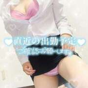 ヒメ日記 2025/07/30 16:47 投稿 りおな奥様 なすがママされるがママ