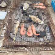 ヒメ日記 2025/04/20 10:01 投稿 レナ ラブコレクション