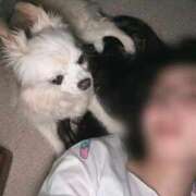 ヒメ日記 2025/07/10 04:16 投稿 レナ ラブコレクション