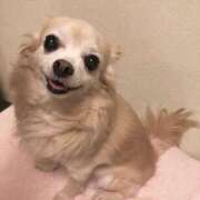 ヒメ日記 2025/07/17 05:31 投稿 レナ ラブコレクション