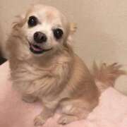 ヒメ日記 2025/08/08 09:31 投稿 レナ ラブコレクション