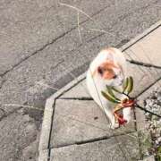 ヒメ日記 2026/07/08 00:16 投稿 レナ ラブコレクション