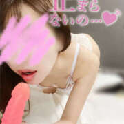 ヒメ日記 2025/09/16 07:40 投稿 るか 恋する人妻