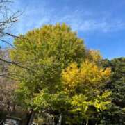 ヒメ日記 2025/11/24 00:24 投稿 るか 恋する人妻