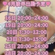 ヒメ日記 2025/04/14 20:00 投稿 のどか CECIL