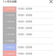 ヒメ日記 2025/11/22 21:28 投稿 りお スチュワーデス