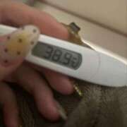 りお ねつ スチュワーデス