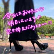 ヒメ日記 2026/06/04 19:00 投稿 りお スチュワーデス