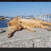 ヒメ日記 2025/05/01 03:31 投稿 愛美莉(えみり) お客様満足度NO.1デリヘル！ 秘密倶楽部 凛 千葉