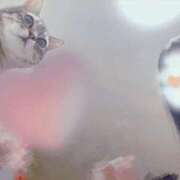 ヒメ日記 2025/12/27 03:17 投稿 愛美莉(えみり) お客様満足度NO.1デリヘル！ 秘密倶楽部 凛 千葉