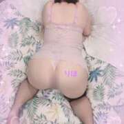 ヒメ日記 2025/11/09 12:17 投稿 りほ 新潟市鳥屋野潟ちゃんこ