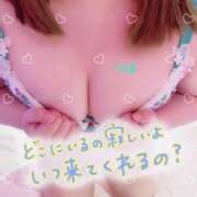 ヒメ日記 2025/12/05 15:05 投稿 りほ 新潟市鳥屋野潟ちゃんこ