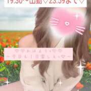 ヒメ日記 2025/06/05 08:33 投稿 ☆レナ☆稀少！沖縄産ドエロギャル プロポーション オキナワ