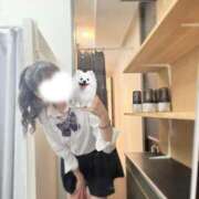 ヒメ日記 2025/01/14 10:38 投稿 える 学校帰りの妹に手コキしてもらった件 谷九