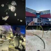 ヒメ日記 2025/02/17 22:49 投稿 える 学校帰りの妹に手コキしてもらった件 谷九