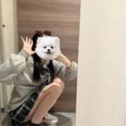 ヒメ日記 2025/04/17 12:09 投稿 える 学校帰りの妹に手コキしてもらった件 谷九