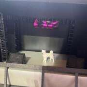 ヒメ日記 2025/06/27 13:49 投稿 える 学校帰りの妹に手コキしてもらった件 谷九