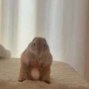 ヒメ日記 2025/11/25 22:19 投稿 える 学校帰りの妹に手コキしてもらった件 谷九