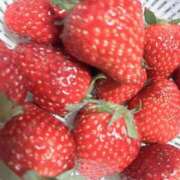 ヒメ日記 2025/01/15 13:36 投稿 こはる マリン千姫