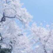 ヒメ日記 2025/03/25 11:49 投稿 こはる マリン千姫