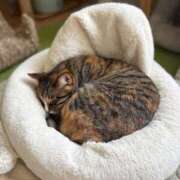 ヒメ日記 2025/07/27 09:31 投稿 こはる マリン千姫