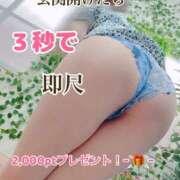 すみれ イベント🎪やってまーす！ モアグループ小山人妻花壇