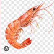 ヒメ日記 2025/07/17 16:58 投稿 綾瀬えりか(あやせえりか) ロケットワイフ