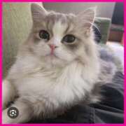 ヒメ日記 2025/08/01 18:56 投稿 綾瀬えりか(あやせえりか) ロケットワイフ