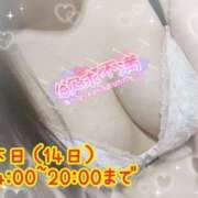 ヒメ日記 2026/07/14 02:19 投稿 ふゆね スピードエコ日本橋店