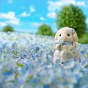 ヒメ日記 2025/05/03 07:39 投稿 もよこ スピードエコ日本橋店