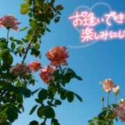 ヒメ日記 2023/11/03 19:12 投稿 みさき 水戸デブ専肉だんご＆人妻浮気現場