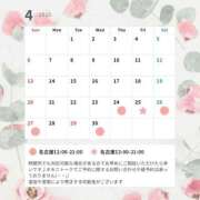 ヒメ日記 2025/04/24 19:48 投稿 紫 エリー 名古屋貴楼館