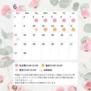 ヒメ日記 2025/04/24 20:06 投稿 紫 エリー 名古屋貴楼館