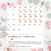 ヒメ日記 2025/09/03 11:18 投稿 紫 エリー 名古屋貴楼館