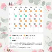 紫 エリー 12月のスケジュール 名古屋貴楼館