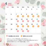 ヒメ日記 2026/03/12 16:48 投稿 紫 エリー 名古屋貴楼館