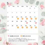 ヒメ日記 2026/05/10 20:08 投稿 紫 エリー 名古屋貴楼館