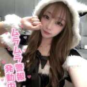 ヒメ日記 2025/11/18 07:20 投稿 芦川 まな アリス女学院 日本橋校